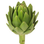 Artichokes