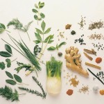 Herbs & Spices